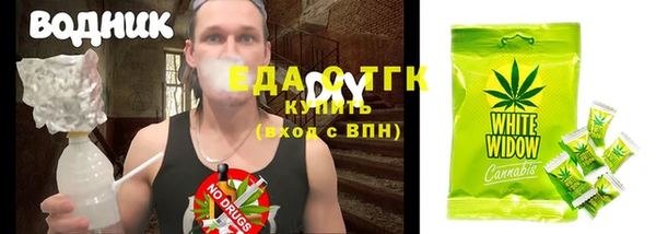 дживик Надым