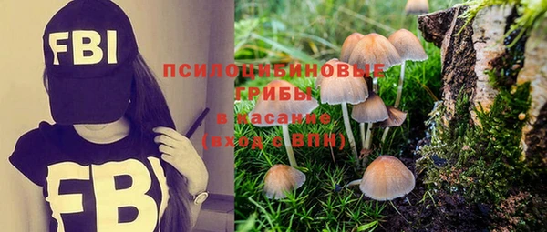 метамфетамин Вяземский
