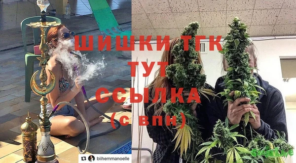 дживик Богородск