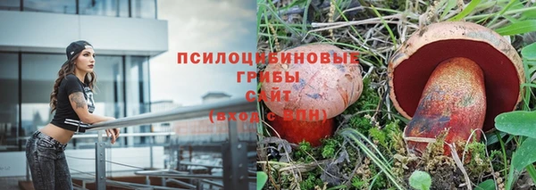 дживик Надым
