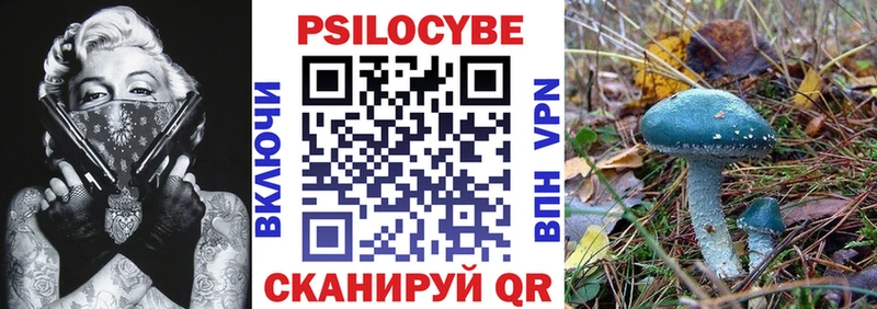 Галлюциногенные грибы Psilocybe  даркнет сайт  KRAKEN как войти  Бокситогорск 